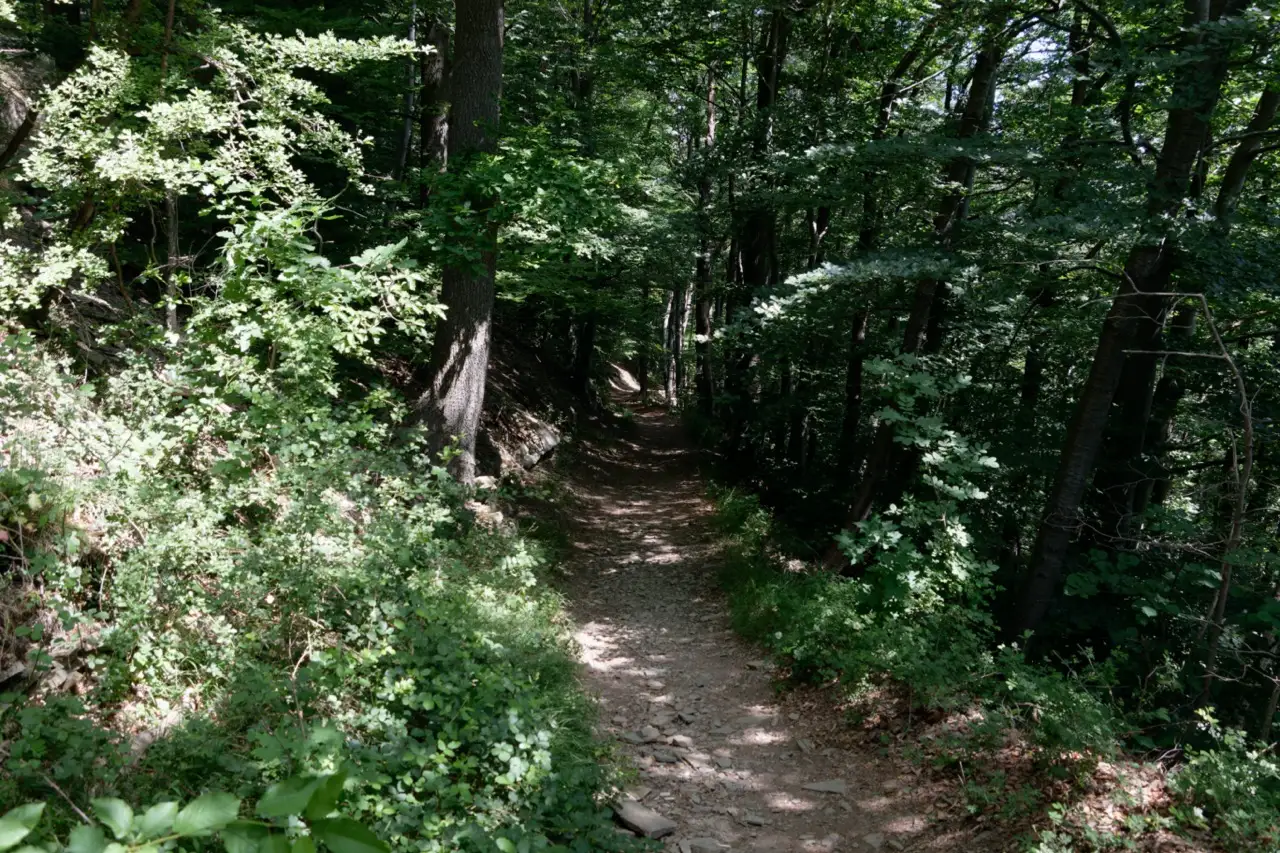 Cottage for 5 people in Theux Le Chalet du Ménobu